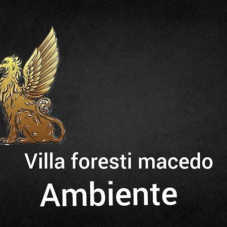 Ambiente Foresti Macedo 格拉玛多 外观 照片