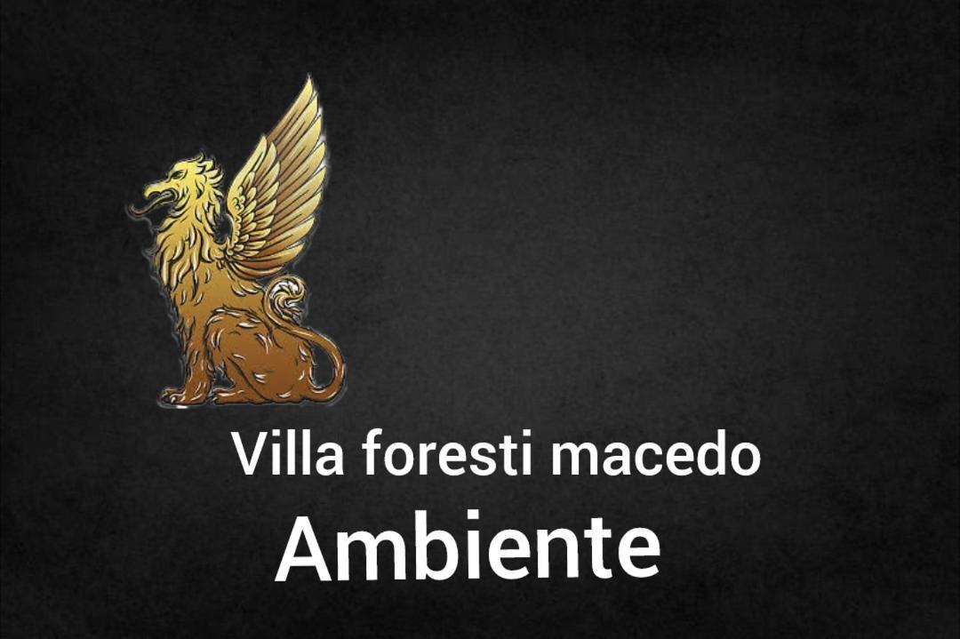 Ambiente Foresti Macedo 格拉玛多 外观 照片